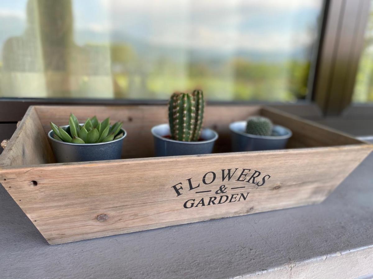 Flowers & Garden Apartment Con Vista Lago Manerba del Garda Exterior foto
